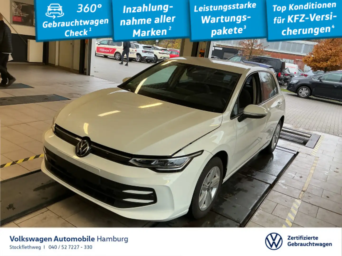 Volkswagen Golf VIII 1.5 eTSI Goal DSG Kamera ACC CarPlay Weiß - 1