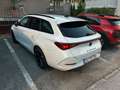 CUPRA Leon Leon SP Kombi 1.5 TSI 150 Weiß - thumbnail 6