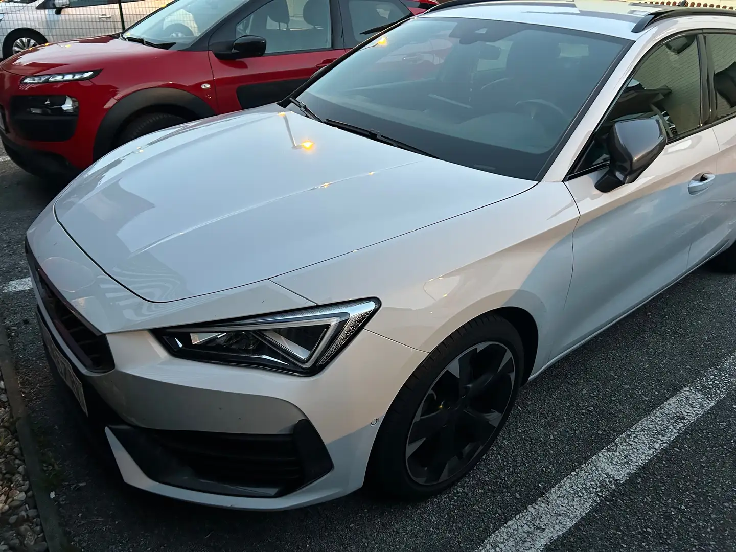 CUPRA Leon Leon SP Kombi 1.5 TSI 150 Weiß - 2