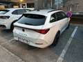 CUPRA Leon Leon SP Kombi 1.5 TSI 150 Weiß - thumbnail 5