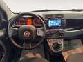 Fiat New Panda 1.0 FireFly Hybrid Bianco - thumbnail 12