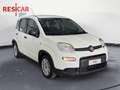 Fiat New Panda 1.0 FireFly Hybrid Bianco - thumbnail 1