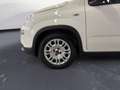 Fiat New Panda 1.0 FireFly Hybrid Bianco - thumbnail 15