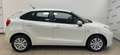 Suzuki Baleno Baleno 1.2 VVT Dualjet B-Cool Bianco - thumbnail 12