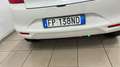 Suzuki Baleno Baleno 1.2 VVT Dualjet B-Cool Bianco - thumbnail 9