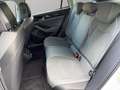 Volkswagen Passat Business 1.5 eTSI DSG ACC, AHK, NAVI, SHZ Bianco - thumbnail 12