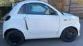 Microcar Due 0.49 dCi 8 Dynamique Weiß - thumbnail 4