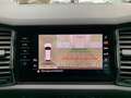 Skoda Kodiaq 2.0TSI SportLine 4x4 7-Sitz+Pano+AHK+360* Grau - thumbnail 26