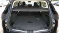 Ford Mondeo Turnier ST-Line/Navi/Euro6/R-Cam/LM Zwart - thumbnail 15