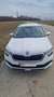 Skoda Kamiq Kamiq 1,0 TSI Ambition Ambition Weiß - thumbnail 5
