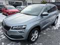 Skoda Karoq Karoq 2,0 TDI SCR 4x4 Style DSG*1.BESITZ*AHK Grau - thumbnail 7