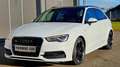 Audi A3 " SPORT QUATTRO " Weiß - thumbnail 17