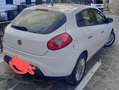 Fiat Bravo 1.6 mjt Pop 105cv - thumbnail 3