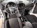 Ford Grand C-Max 1.0i NAVI/KLIMA/TEMPOMAT/7SITZE Blanc - thumbnail 6