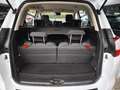Ford Grand C-Max 1.0i NAVI/KLIMA/TEMPOMAT/7SITZE Blanc - thumbnail 16