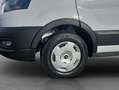 Ford Transit 350 L3H2 Lkw VA Autm. Trend **Kamera/Navi* Blanc - thumbnail 19