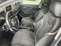 Audi Q2 1.6TDI Design edition 85kW Schwarz - thumbnail 11