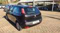 Fiat Punto Evo 5p 1.2 Dynamic s&s - thumbnail 8