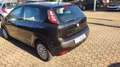 Fiat Punto Evo 5p 1.2 Dynamic s&s - thumbnail 7