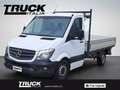 Mercedes-Benz Sprinter II - sprinter 319 cdi T 37/35 Pro EVI Blanc - thumbnail 2