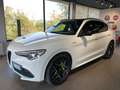 Alfa Romeo Stelvio Stelvio 2.2 t Veloce Q4 210cv auto Bianco - thumbnail 3