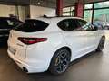 Alfa Romeo Stelvio Stelvio 2.2 t Veloce Q4 210cv auto Bianco - thumbnail 7