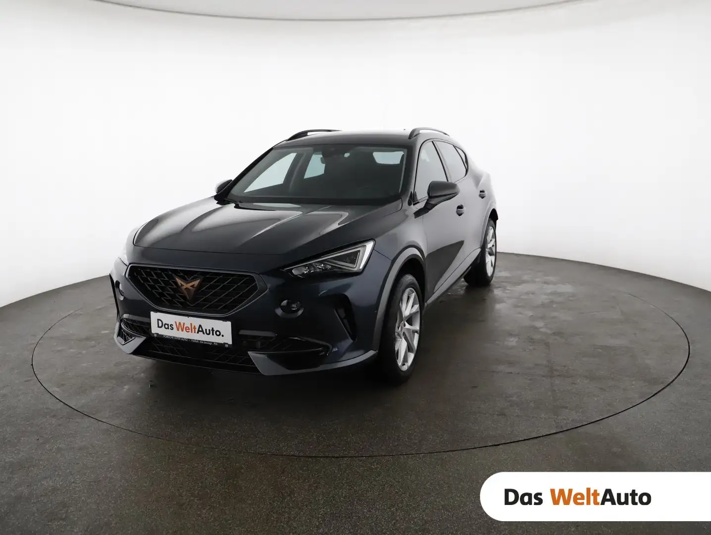 CUPRA Formentor 2,0 TDI Cupra Grau - 1