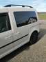 Volkswagen Caddy 1.6 BiFuel (5-Si.) Cup - thumbnail 4
