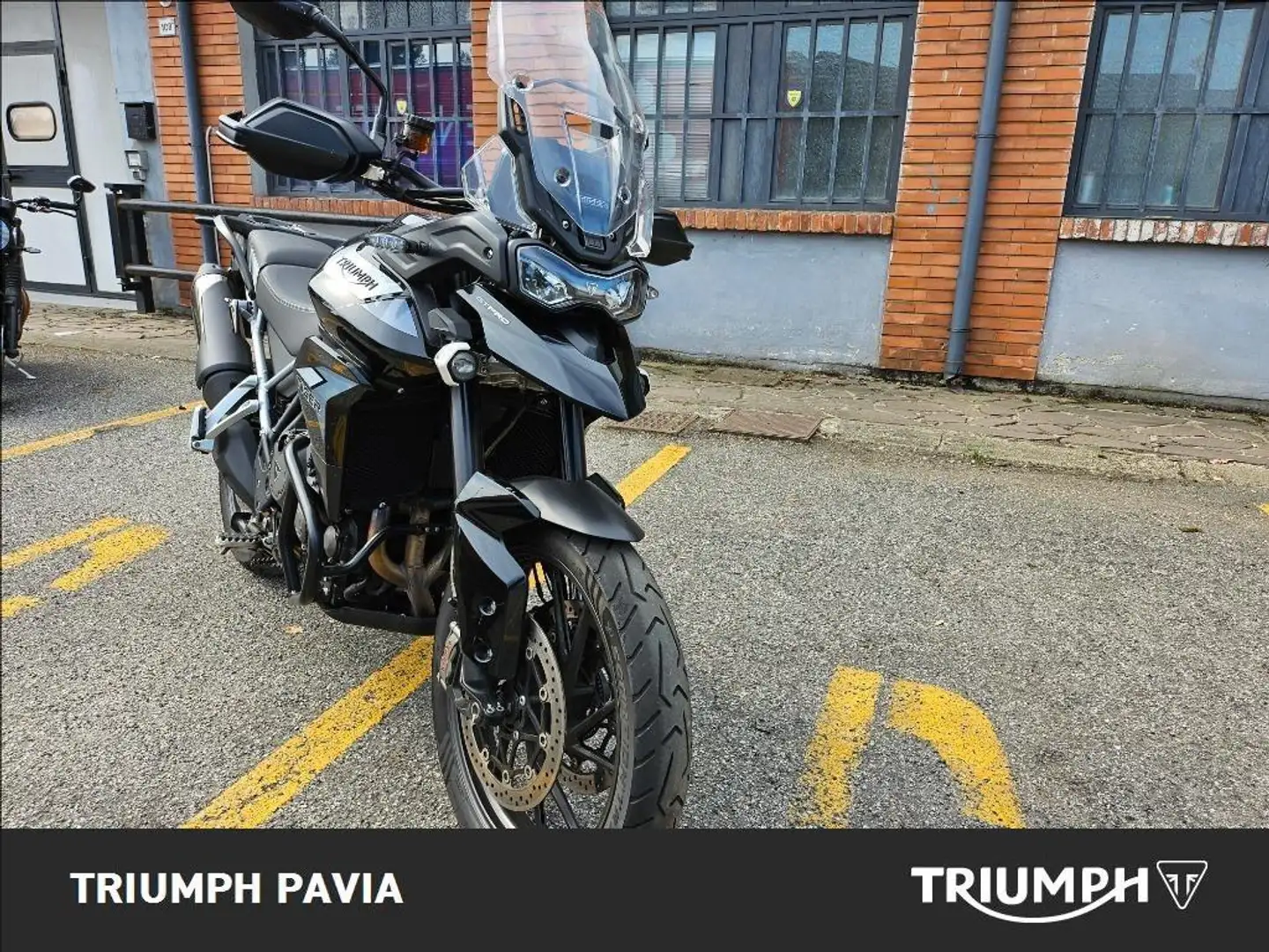 Triumph Tiger 900 GT Pro Abs Gri - 2