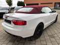 Audi A5 Cabriolet 1.8 TFSI Weiß - thumbnail 6