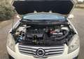 Nissan Qashqai+2 Q 2 2.0 Tekna 4x2 Tekna Blanco - thumbnail 13