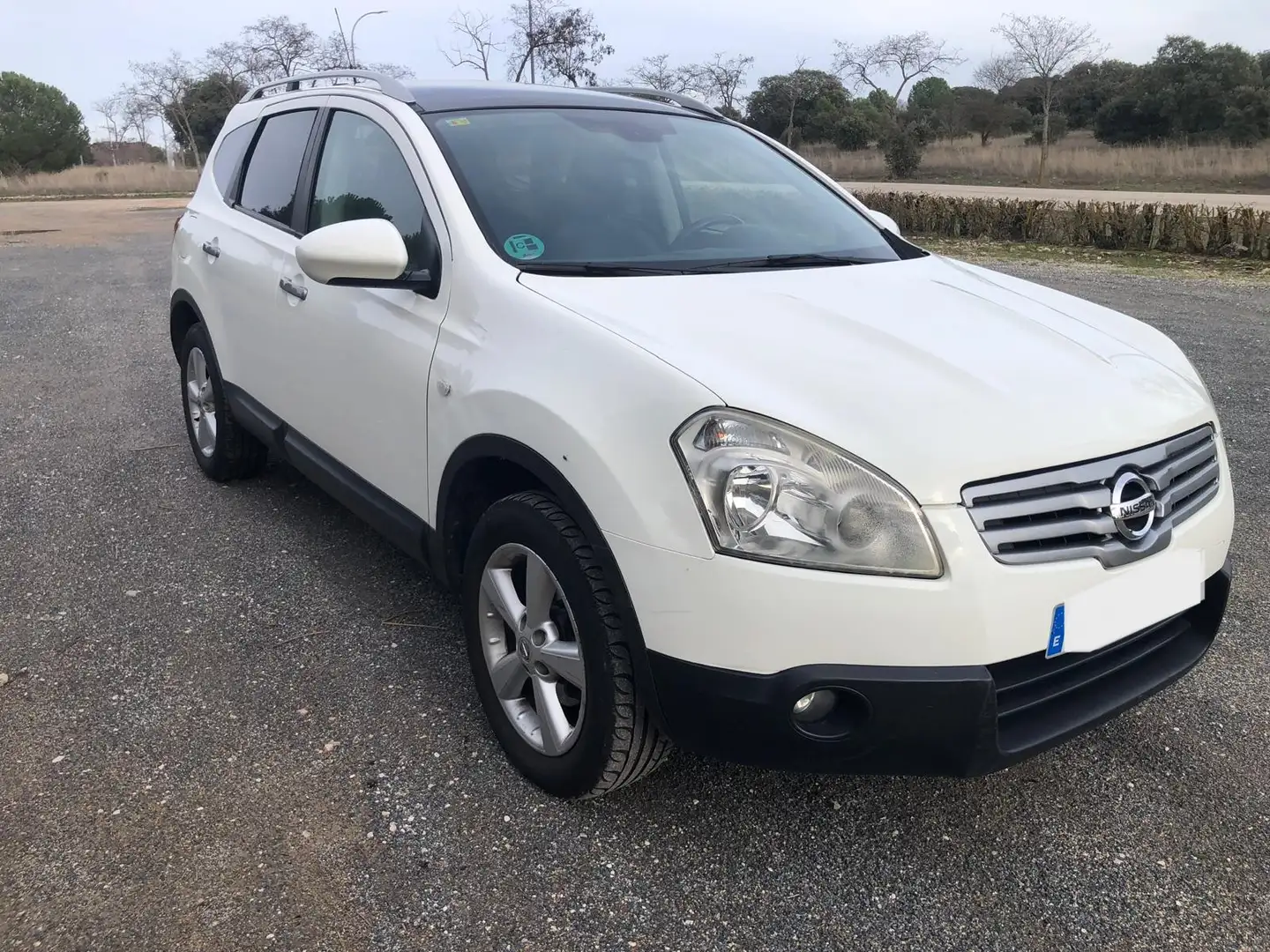 Nissan Qashqai+2 Q 2 2.0 Tekna 4x2 Tekna Blanco - 2