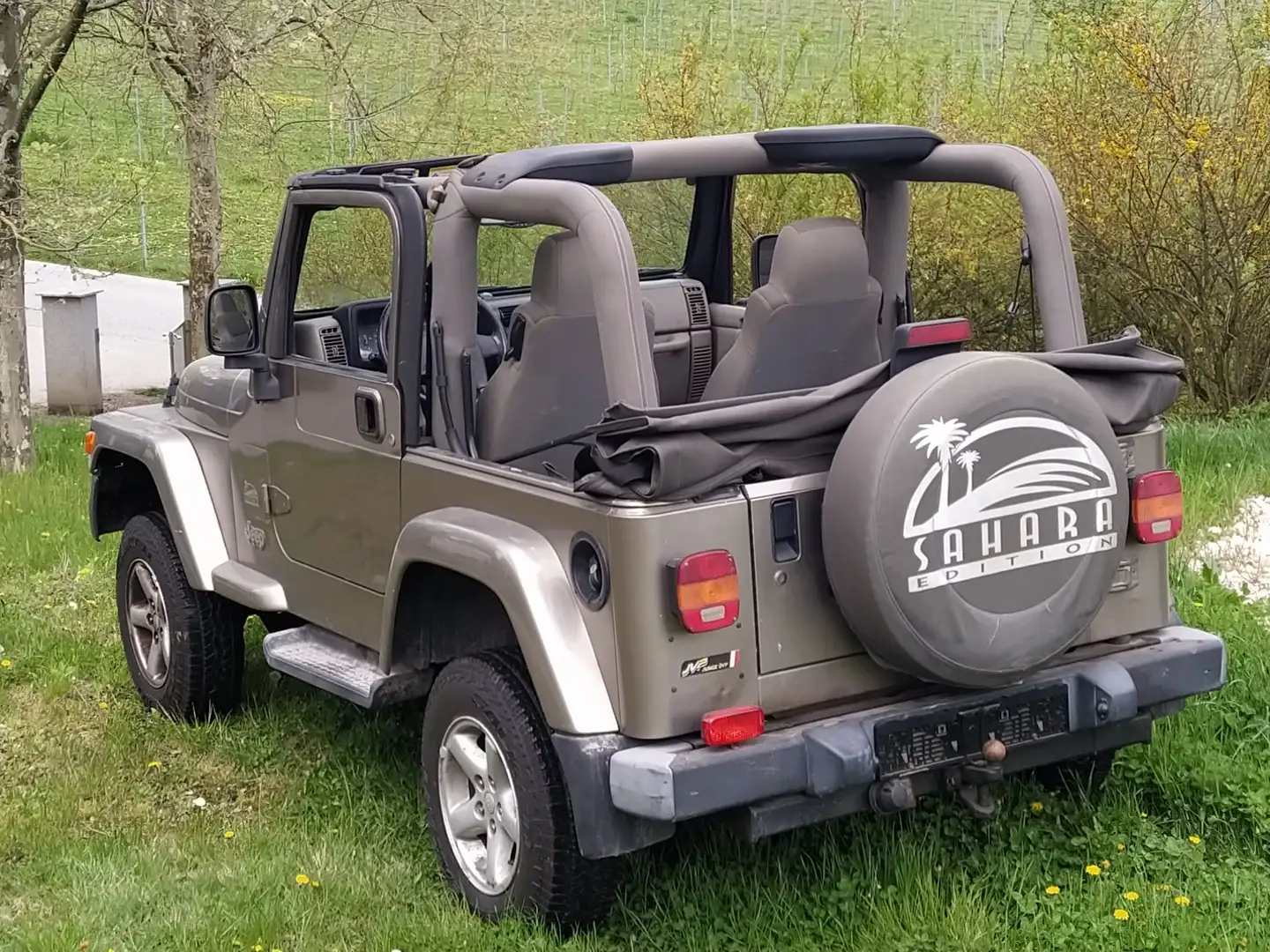 Jeep Wrangler 4.0 Sahara - 2