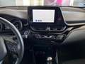 Toyota C-HR Hybrid Team Deutschland Grau - thumbnail 13