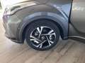 Toyota C-HR Hybrid Team Deutschland Grau - thumbnail 15