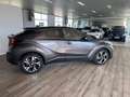 Toyota C-HR Hybrid Team Deutschland Grau - thumbnail 3