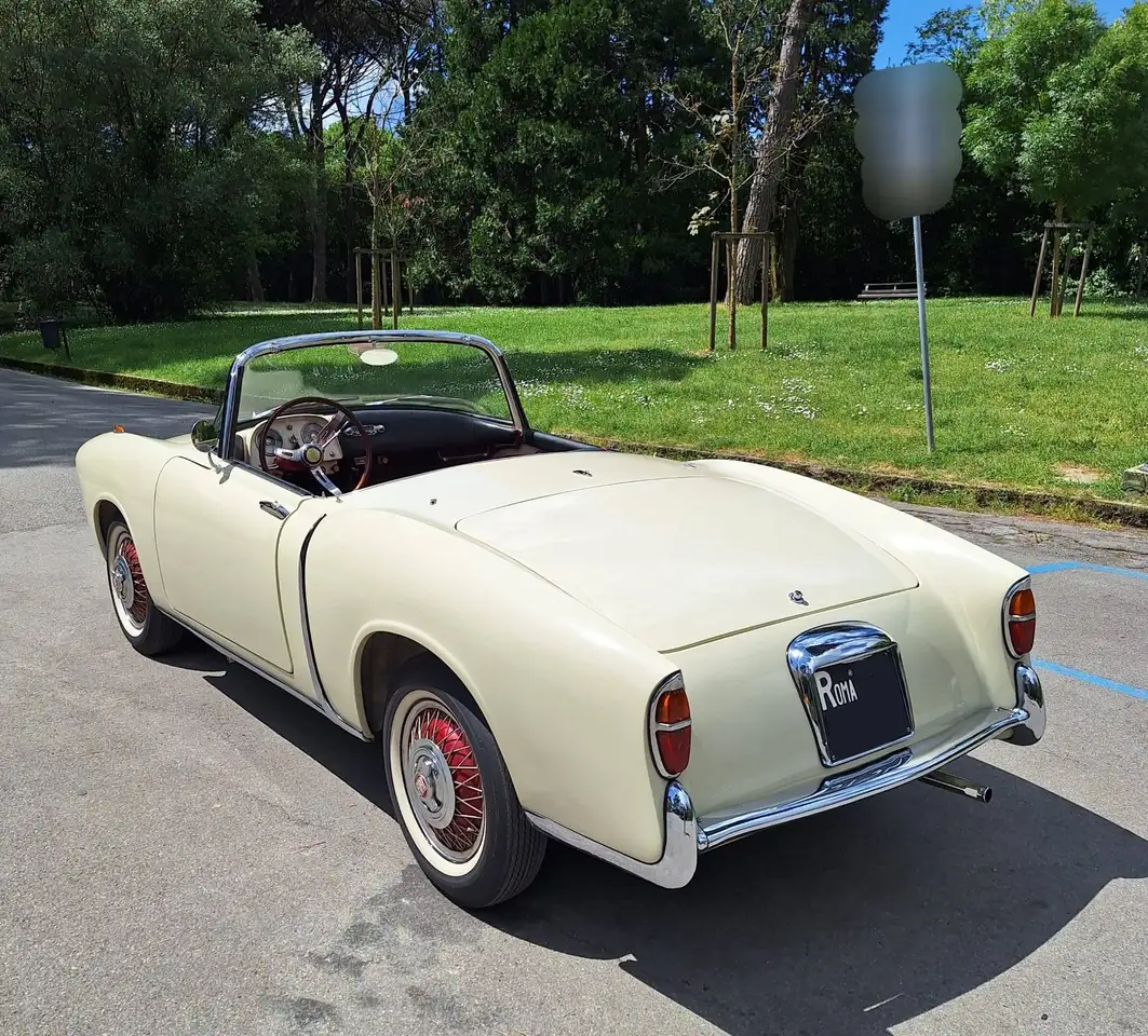 Fiat 1100 TV Trasformabile - Targa Nera - ASI Oro, foto 5