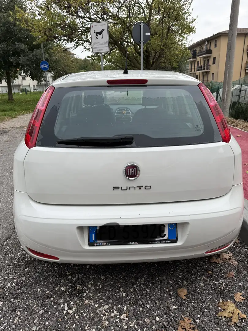Fiat Punto 5p 1.2 Street E6 - 1