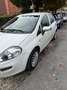 Fiat Punto 5p 1.2 Street E6 - thumbnail 4