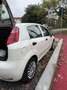 Fiat Punto 5p 1.2 Street E6 - thumbnail 3
