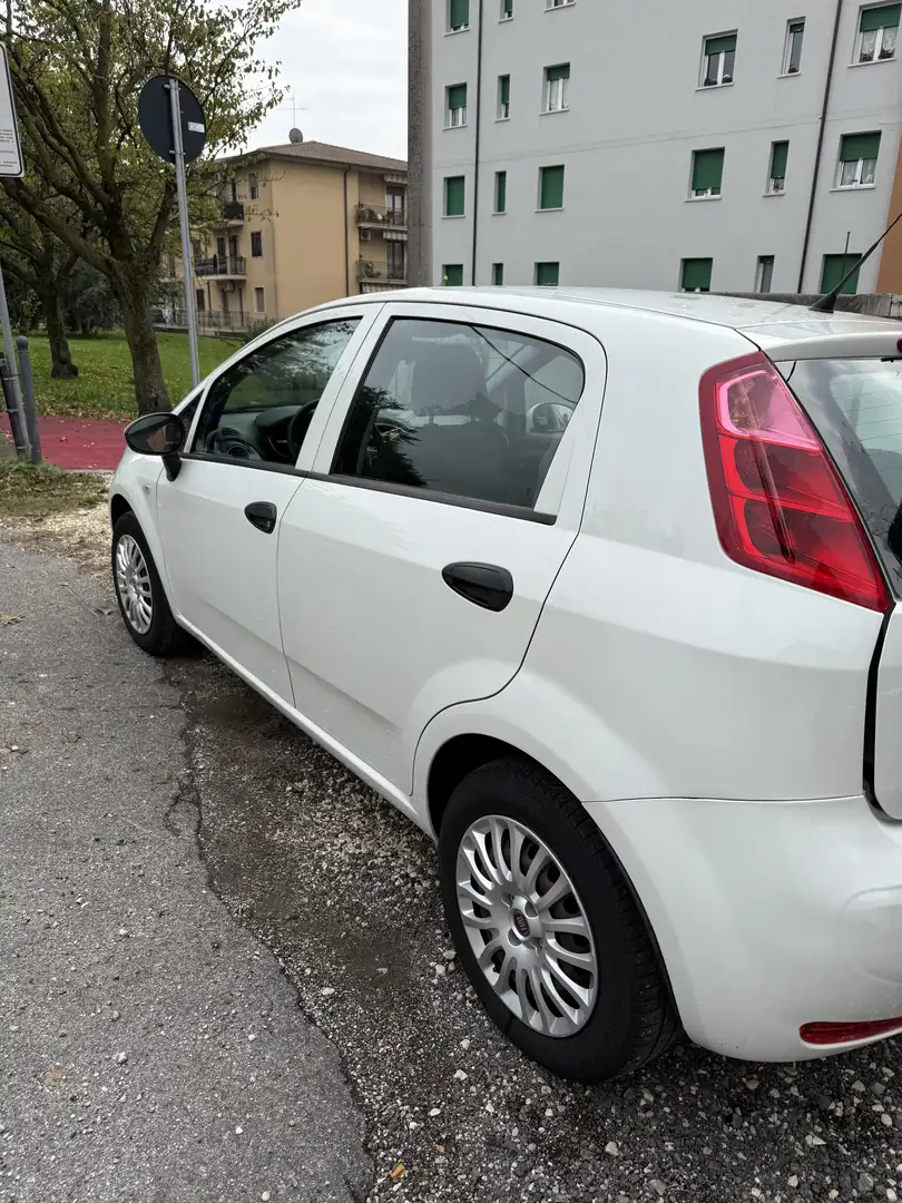 Fiat Punto 5p 1.2 Street E6 - 2