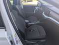 Skoda Octavia Combi 2,0 TDI Business DSG Weiß - thumbnail 14