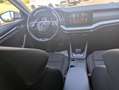 Skoda Octavia Combi 2,0 TDI Business DSG Weiß - thumbnail 10