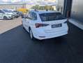 Skoda Octavia Combi 2,0 TDI Business DSG Weiß - thumbnail 6