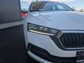 Skoda Octavia Combi 2,0 TDI Business DSG Weiß - thumbnail 8