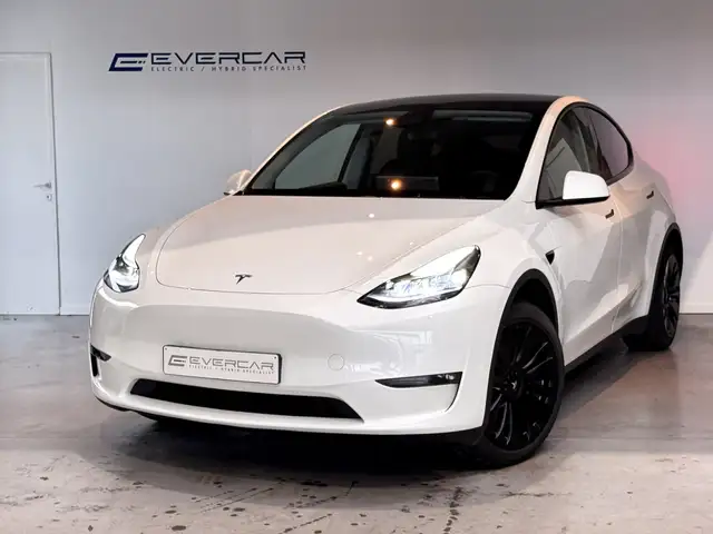 Tesla Model Y Model Y Long Range Dual Motor AWD