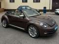 Volkswagen Beetle Cabrio 2.0TDI Design 140 Marrón - thumbnail 2