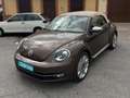 Volkswagen Beetle Cabrio 2.0TDI Design 140 Marrón - thumbnail 1