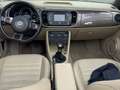 Volkswagen Beetle Cabrio 2.0TDI Design 140 Marrón - thumbnail 5