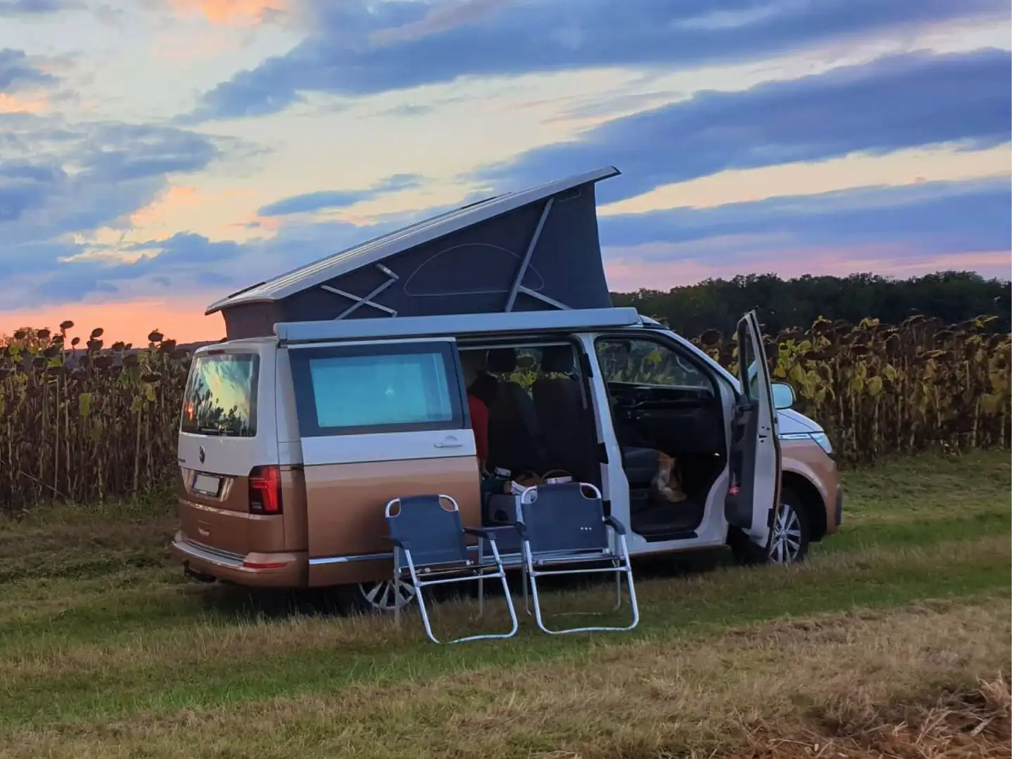 Volkswagen T6.1 California - 1